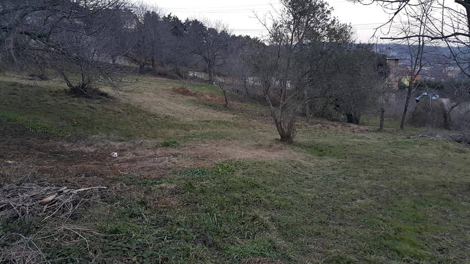 Beykoz Elmalı Köyü Resimleri 8