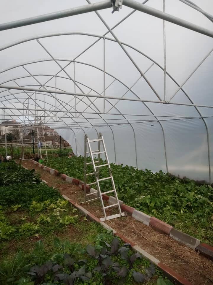Beykoz Elmalı Köyü Resimleri 9