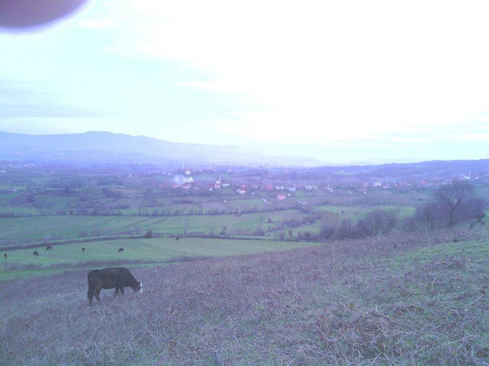 Çaycuma Yolgeçen Köyü Resimleri 2