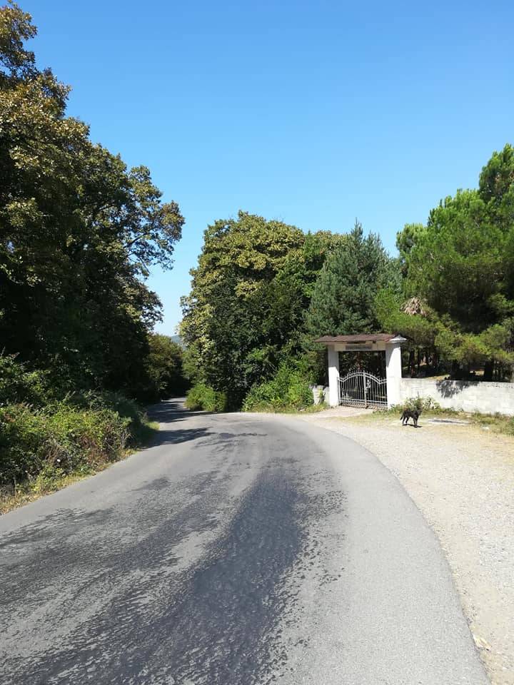 Çaycuma Yolgeçen Köyü Resimleri 3