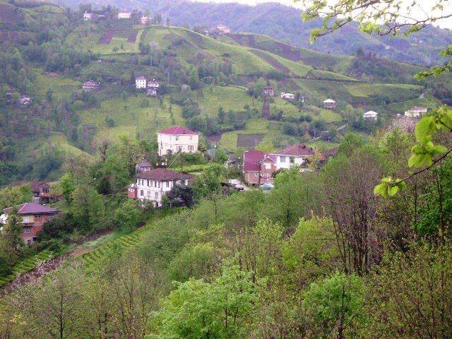 Pazar Yücehisar Köyü Resimleri 3