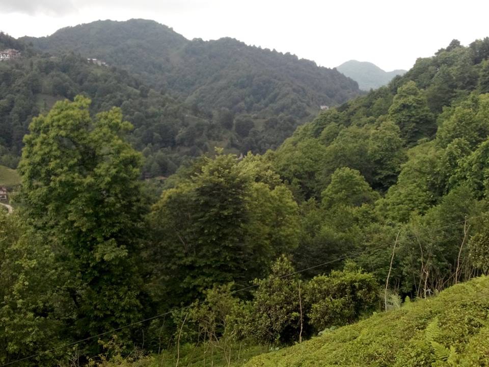 Pazar Yücehisar Köyü Resimleri 9