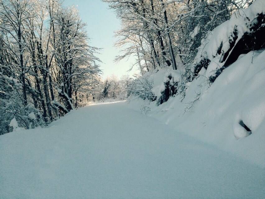 Çaycuma Yeşilyurt Köyü Resimleri 1
