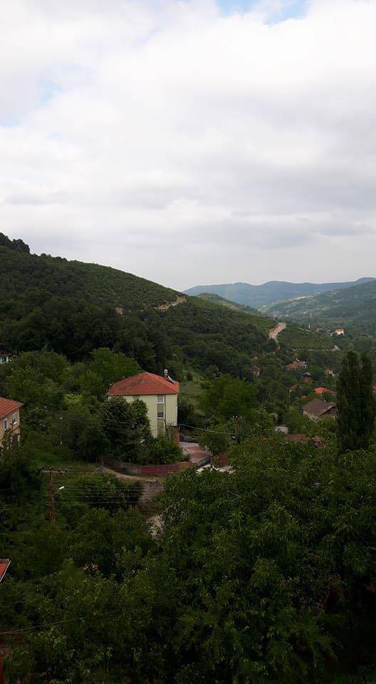 Çaycuma Yeniköy Köyü Resimleri 2