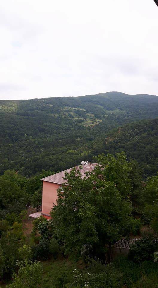 Çaycuma Yeniköy Köyü Resimleri 3