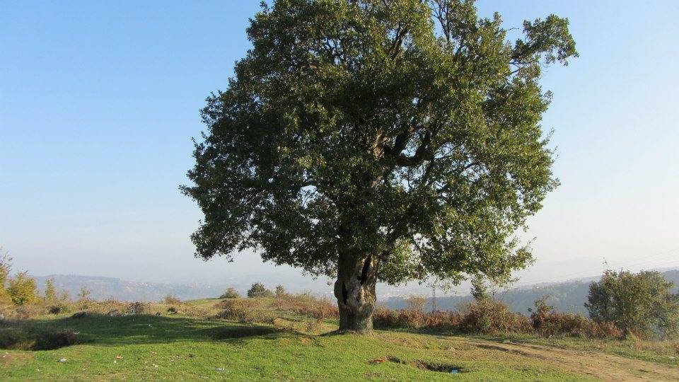 Çaycuma Yakademirciler Köyü  Resimleri 1
