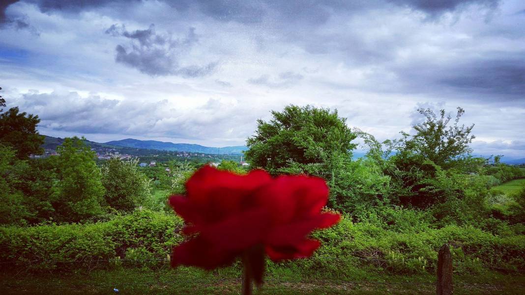 Çaycuma Kerimler Köyü Resimleri 5