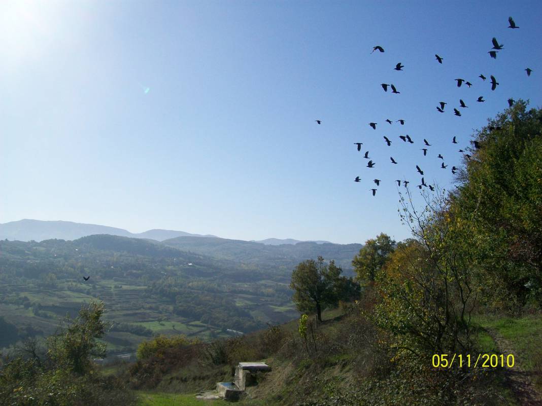 Çaycuma Kayabaşı Köyü Resimleri 1