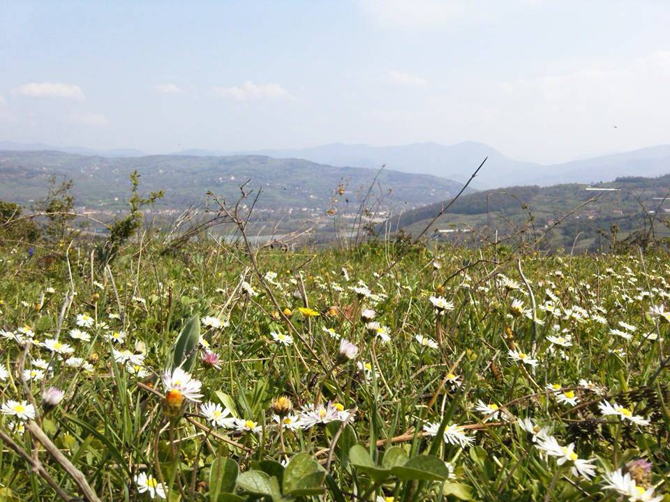 Çaycuma Kayabaşı Köyü Resimleri 2