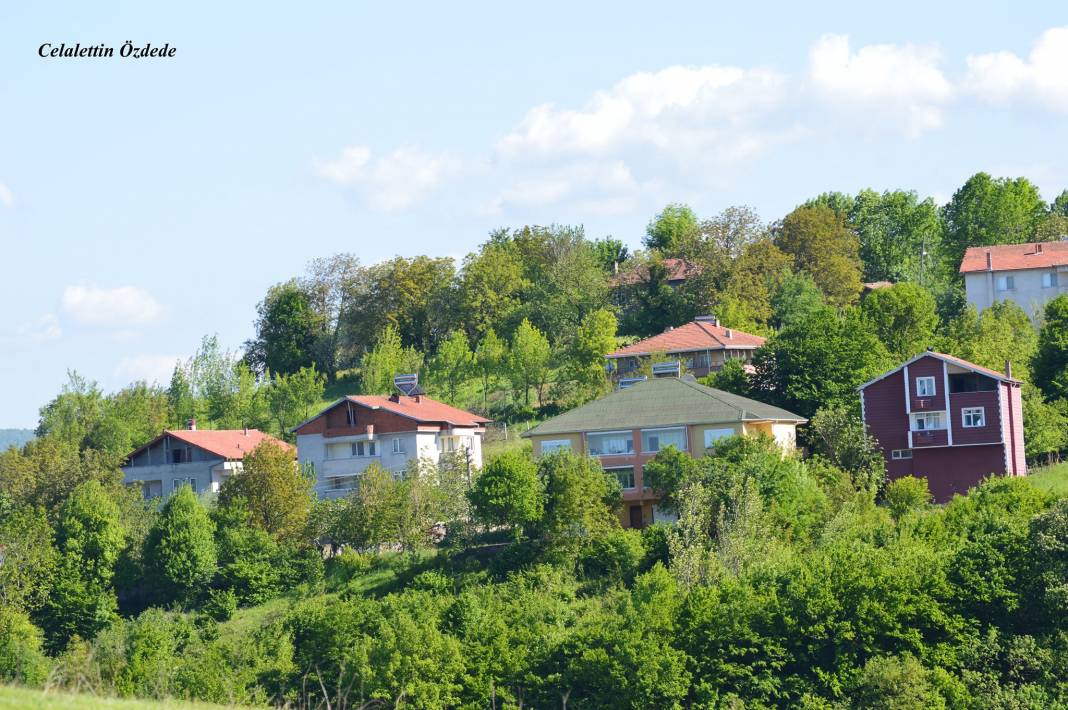 Çaycuma Karamusa Köyü Resimleri 1