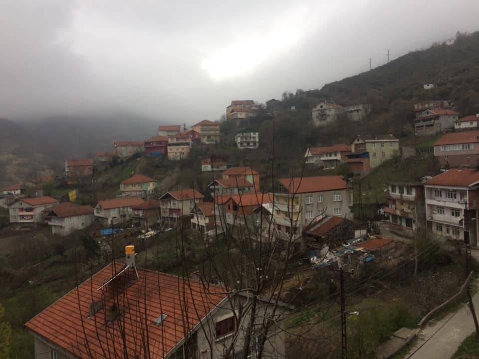 Çaycuma Taşçılı Köyü Resimleri 2