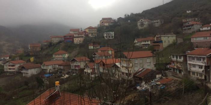 Çaycuma Taşçılı Köyü Resimleri