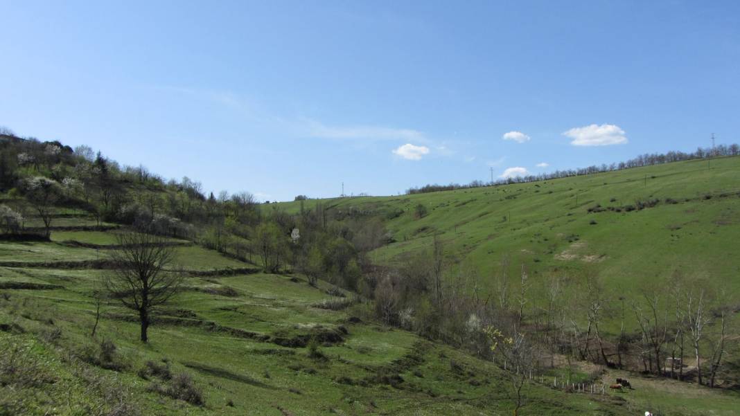 Çaycuma Şeyhoğlu Köyü Resimleri 1