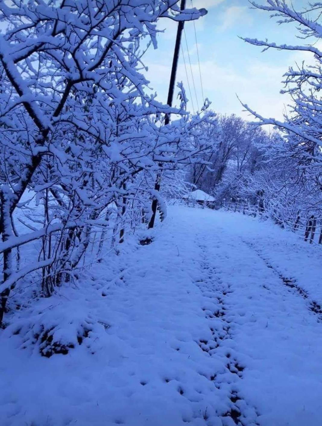 Çaycuma Şeyhoğlu Köyü Resimleri 2