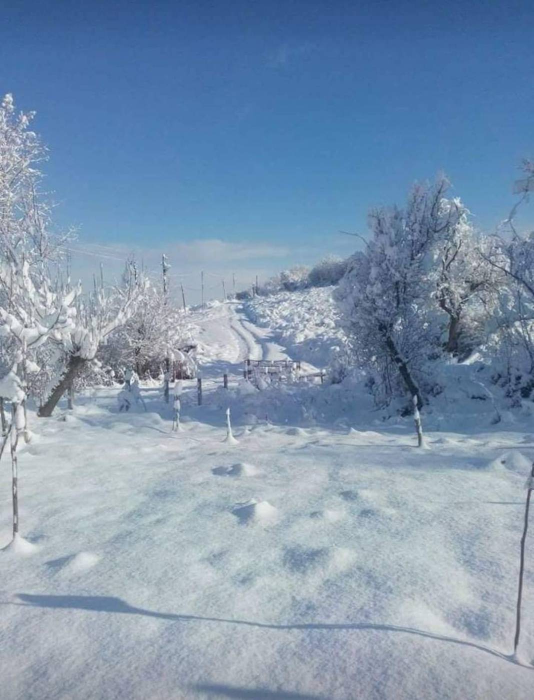 Çaycuma Şeyhoğlu Köyü Resimleri 4