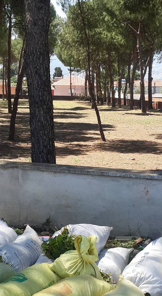Alaşehir Çaylayan Köyü Resimleri 13