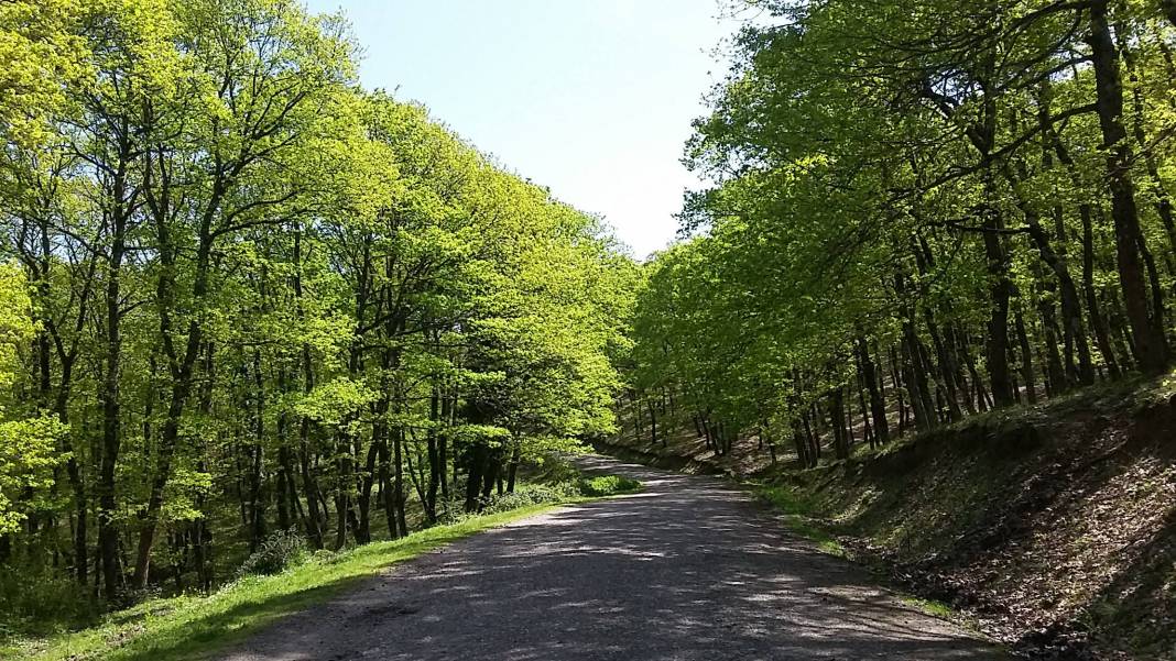 Çaycuma Kalaycıoğlu Köyü Resimleri 2