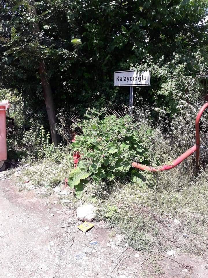 Çaycuma Kalaycıoğlu Köyü Resimleri 4