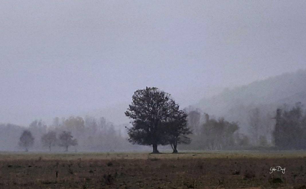 Çaycuma Kahvecioğlu Köyü Resimleri 1