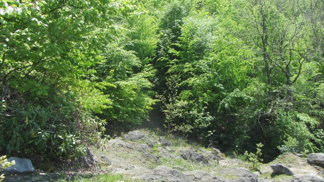 Çaycuma Şenköy Köyü Resimleri 2