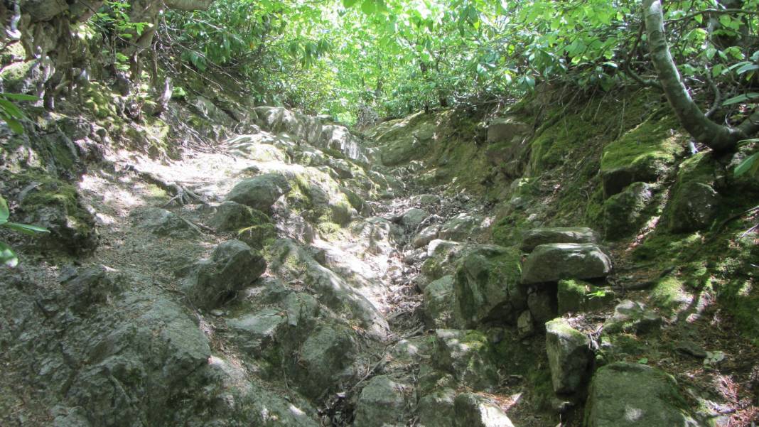 Çaycuma Şenköy Köyü Resimleri 3