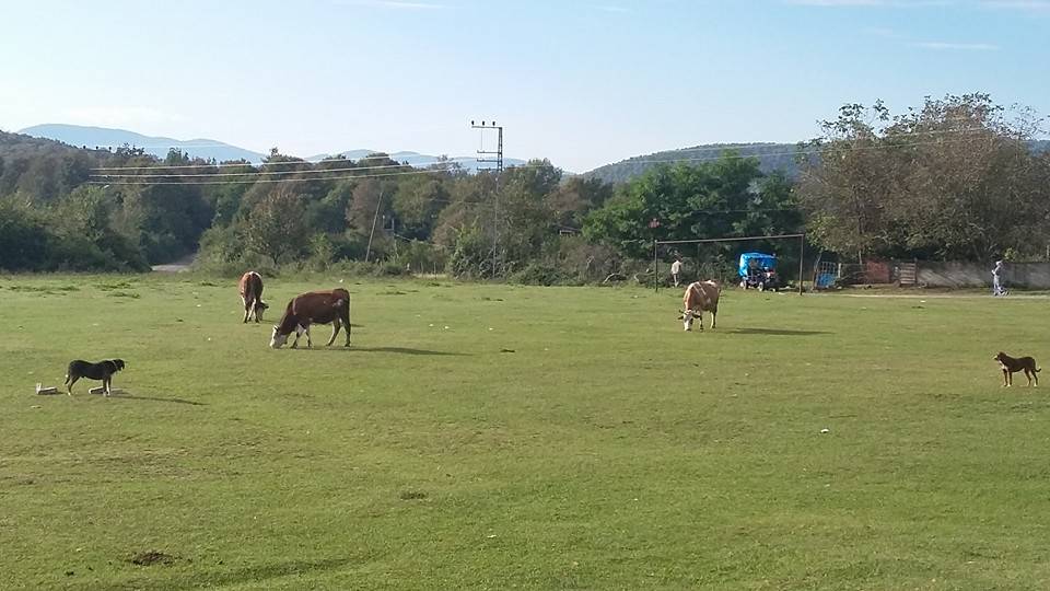 Çaycuma Sipahiler Köyü Resimleri 4