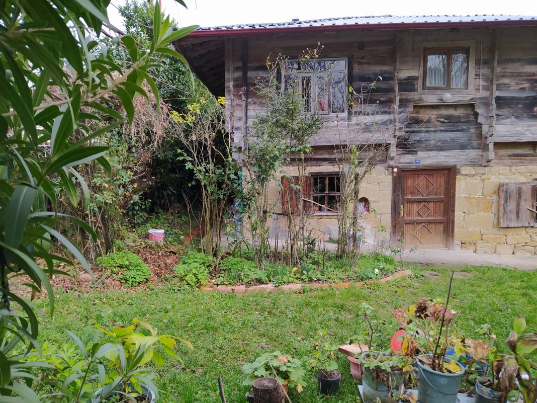 Çaycuma Serdaroğlu Köyü Resimleri 3