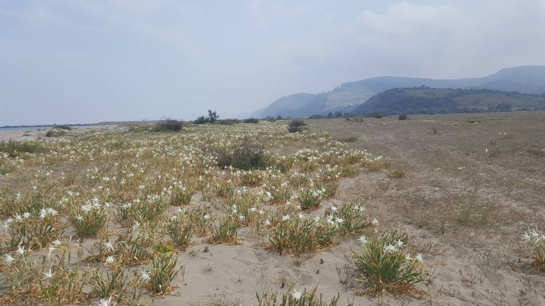 Çaycuma Sazköy Köyü Resimleri 1
