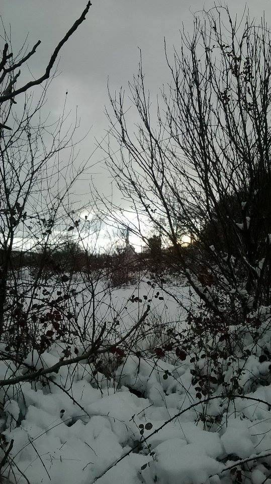 Çaycuma Sarmaşık Köyü Resimleri 1