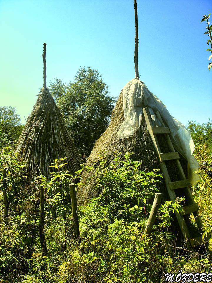 Çaycuma Sarmaşık Köyü Resimleri 2