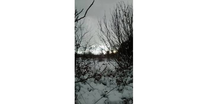 Çaycuma Sarmaşık Köyü Resimleri
