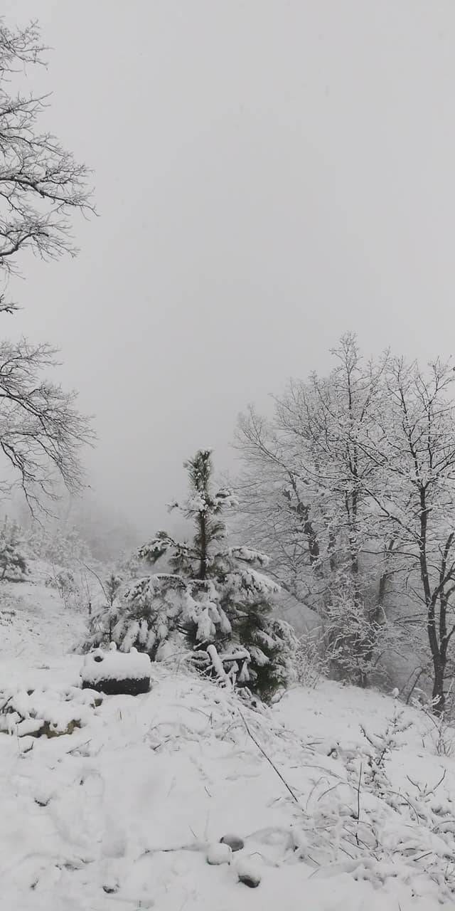 Gökçebey Aydınlar Köyü Resimleri 1