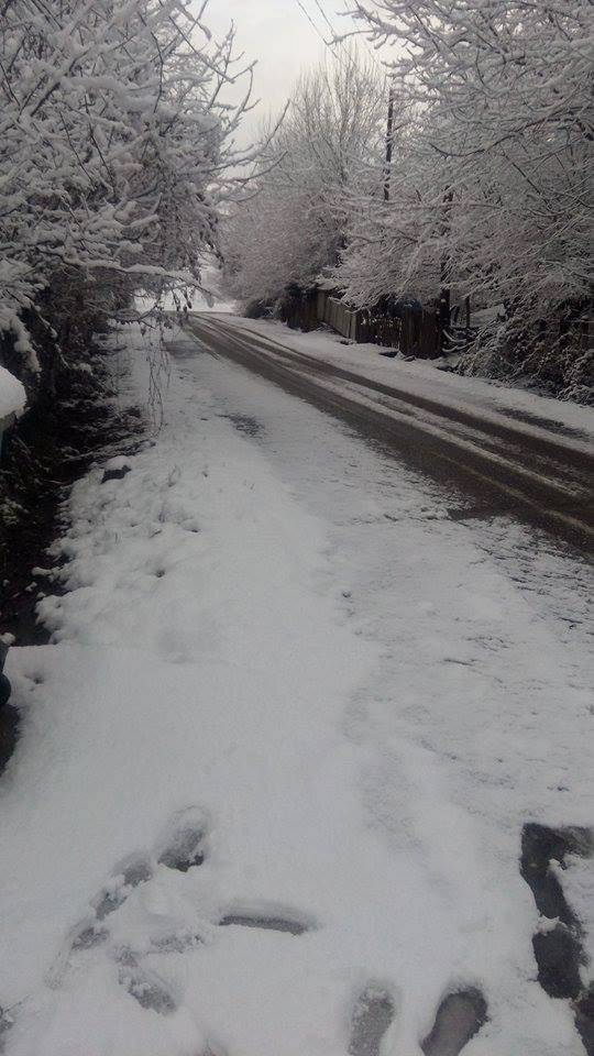 Çaycuma Sandallar Köyü Resimleri 1
