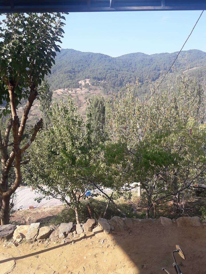 Alaşehir Çamlıbel Köyü Resimsleri 5