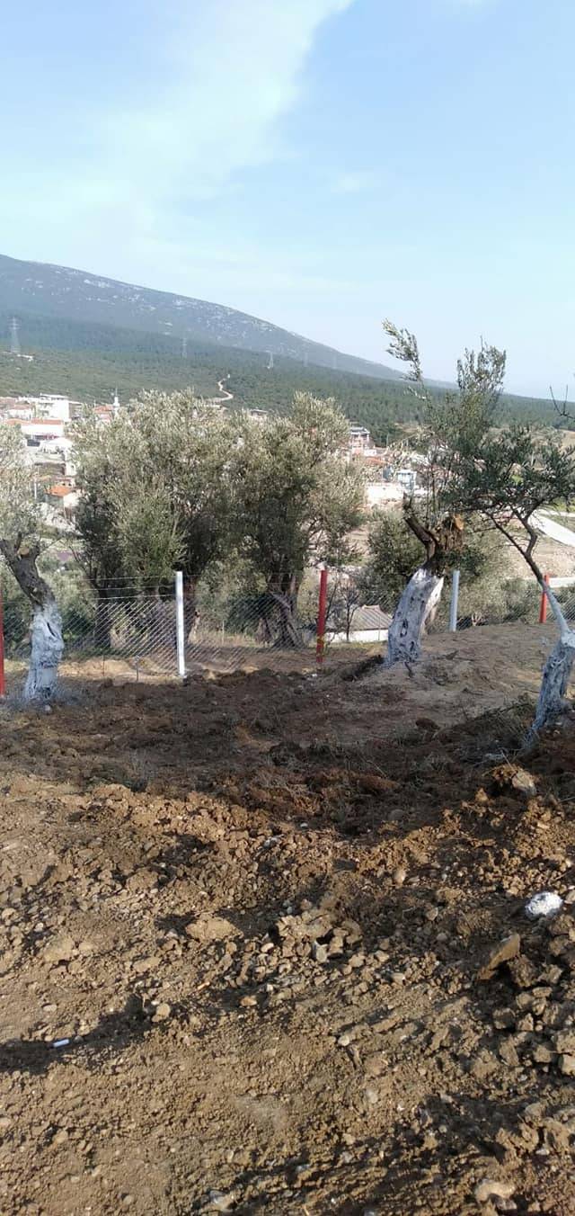 Kemalpaşa Yenmiş Köyü Resimleri 2