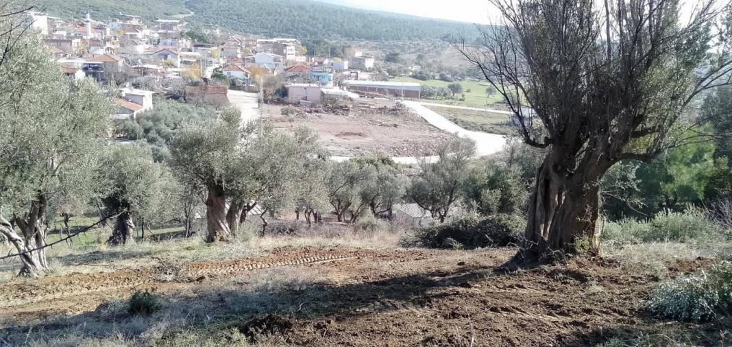 Kemalpaşa Yenmiş Köyü Resimleri 3