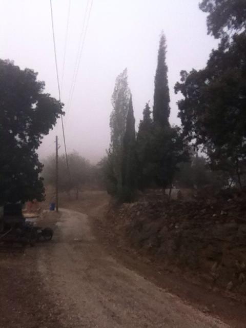 Aleşhir Çarıkbozdağ Köyü Resimleri 5