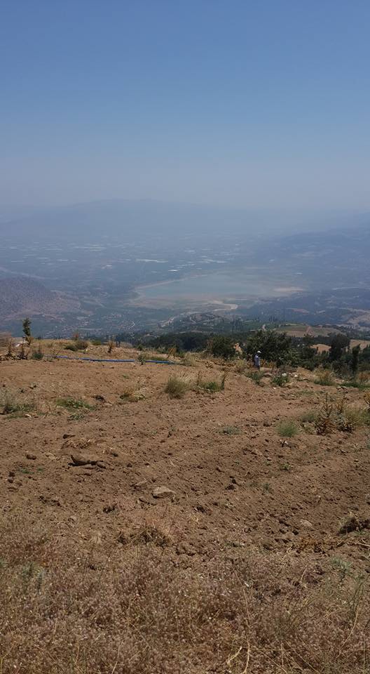 Aleşhir Çarıkbozdağ Köyü Resimleri 8