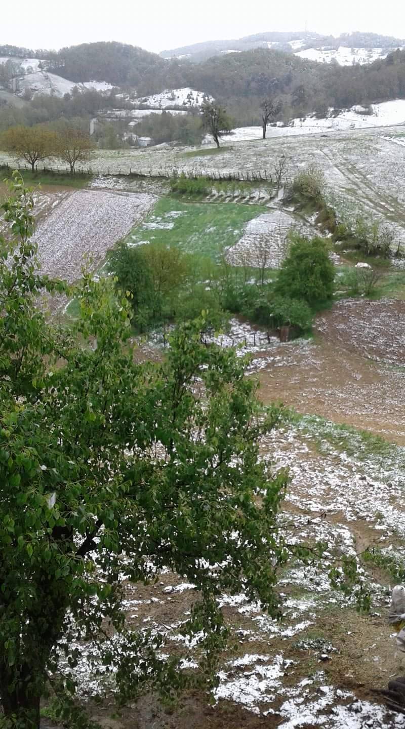 Çaycuma Muharremşah Köyü Resimleri 1