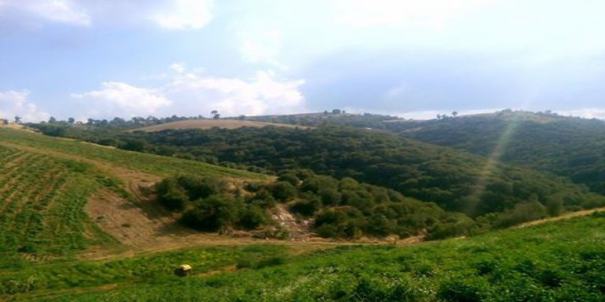 Alaşehir Çarıkkaralar Köyü Resimleri