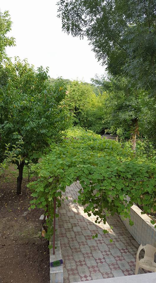 Çaycuma Dereli Köyü Resimleri 1