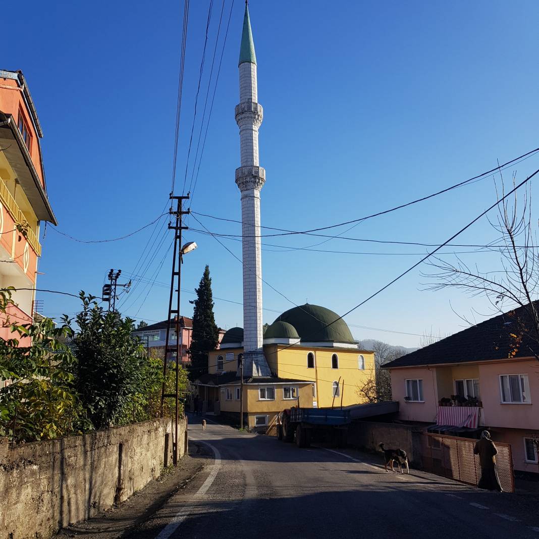 Çaycuma Dursunlar Köyü Resimleri 1