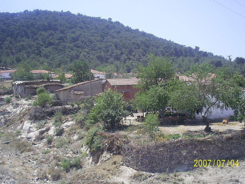 Kınık Bademalanı Köyü Resimleri 1