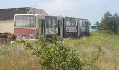 Çaycuma Erenköy Köyü Resimleri 4