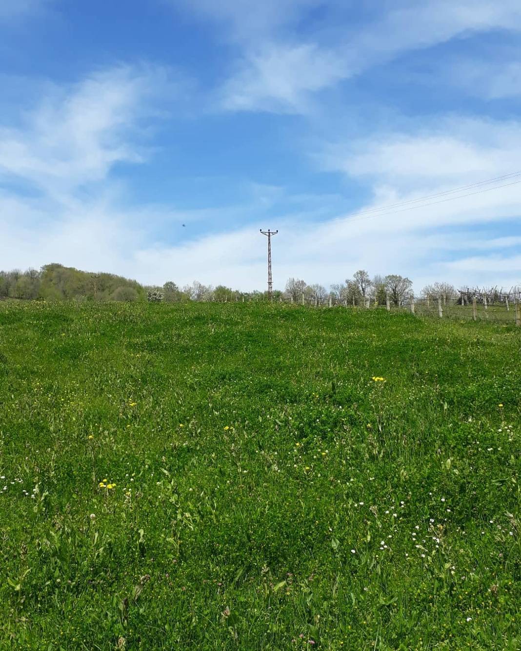 Çaycuma Esenlik Köyü Resimleri 2