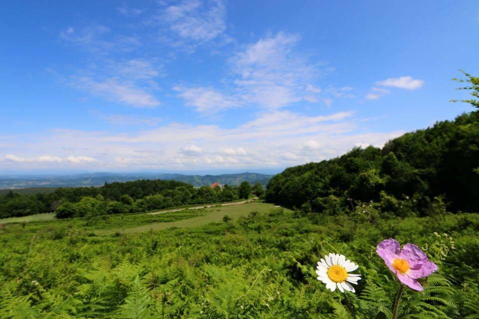 Çaycuma Esentepe Köyü Resimleri 1