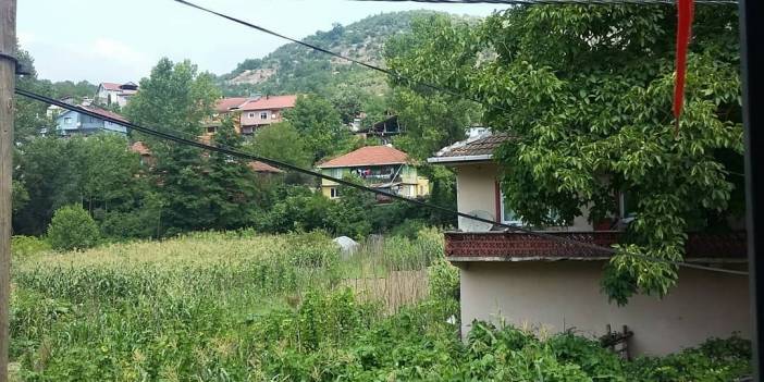 Çaycuma Güzelyaka Köyü Resimleri