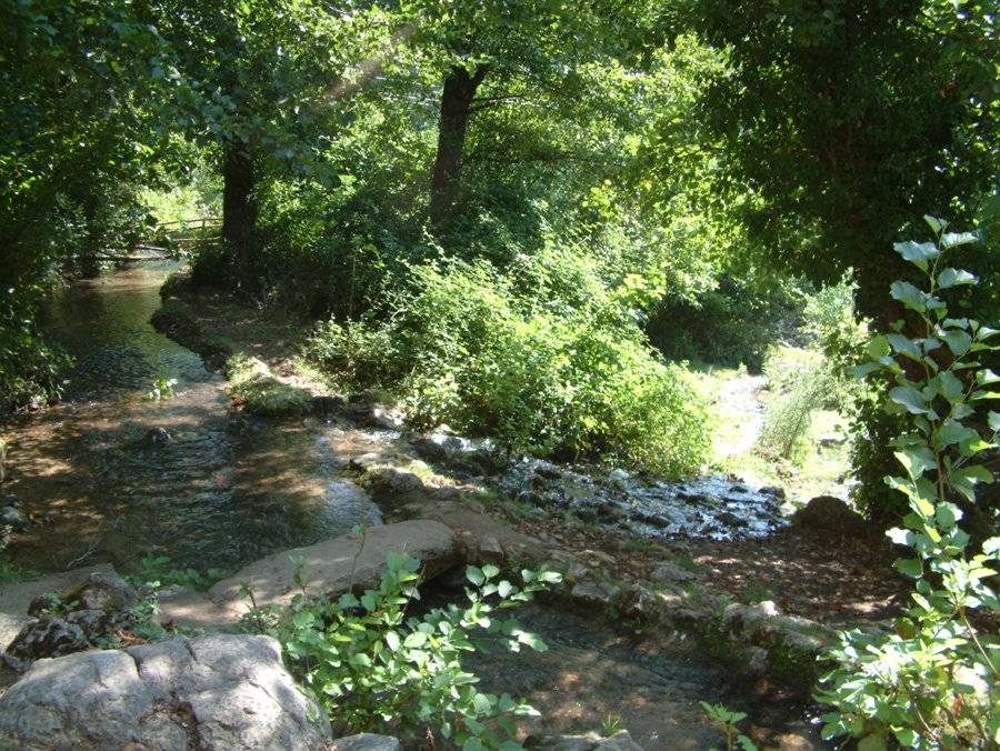 Çaycuma Çomranlı Köyü Resimleri 2