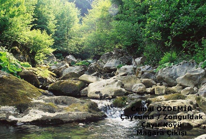 Çaycuma Çayır Köyü Resimleri 4