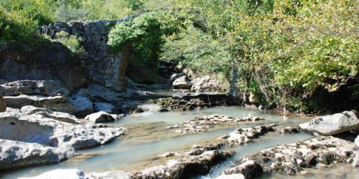 Çaycuma Çayır Köyü Resimleri